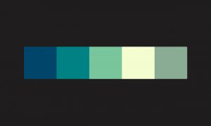 Color Swatch