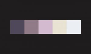 Color Swatch